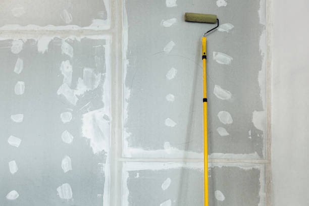 Mold Documentation for Insurance Claims in Lake Arthur, LA